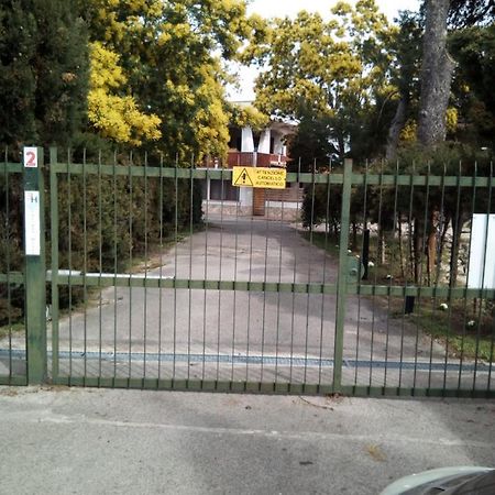 Edvige'S House Villa San Felice Circeo Exterior foto